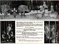 circus willy haagenbeck10011-00